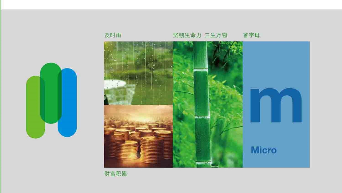 中微信用  北京标志设计 北京VI设计
