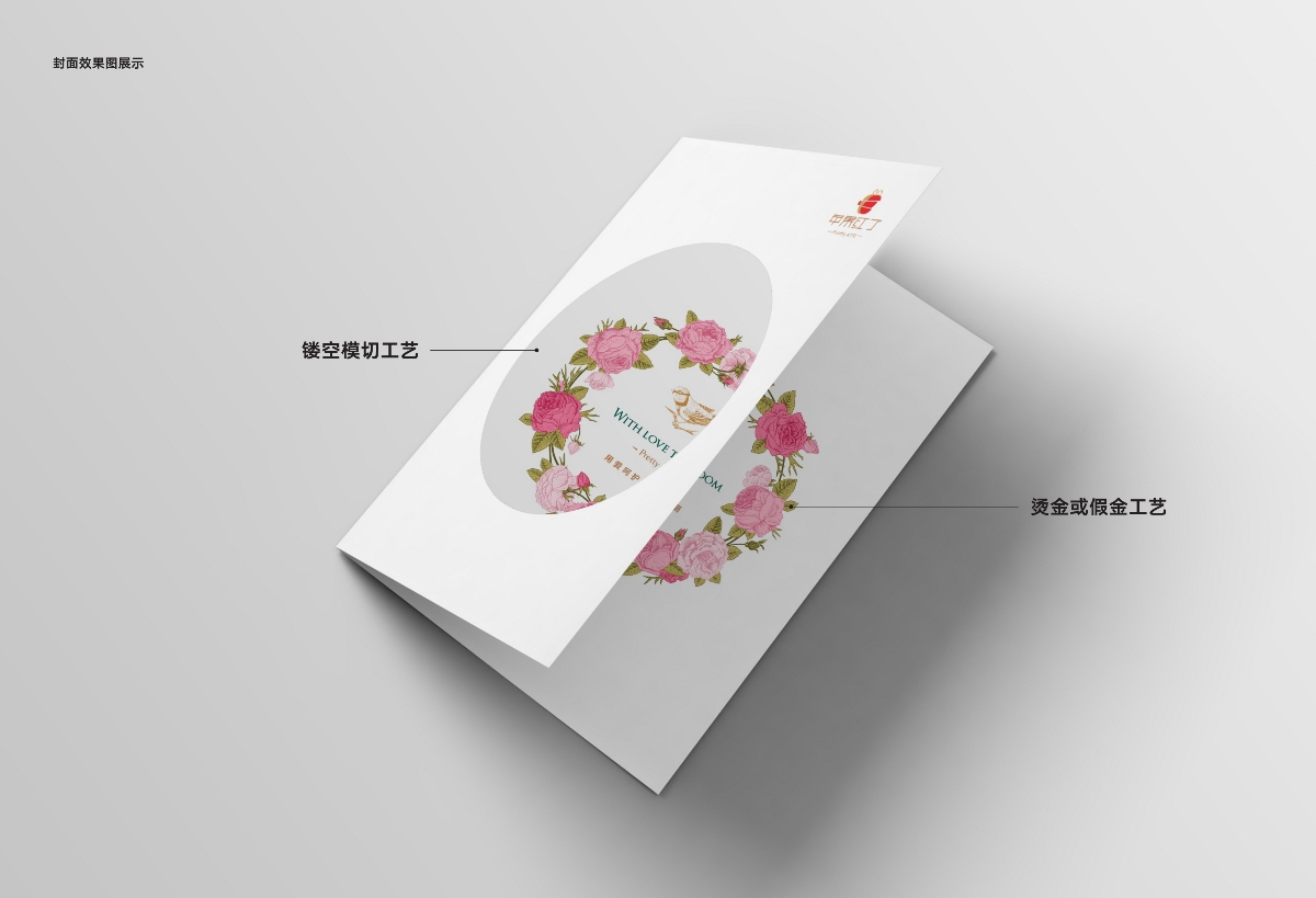 云頂創(chuàng)意：蘋果紅了畫冊設計