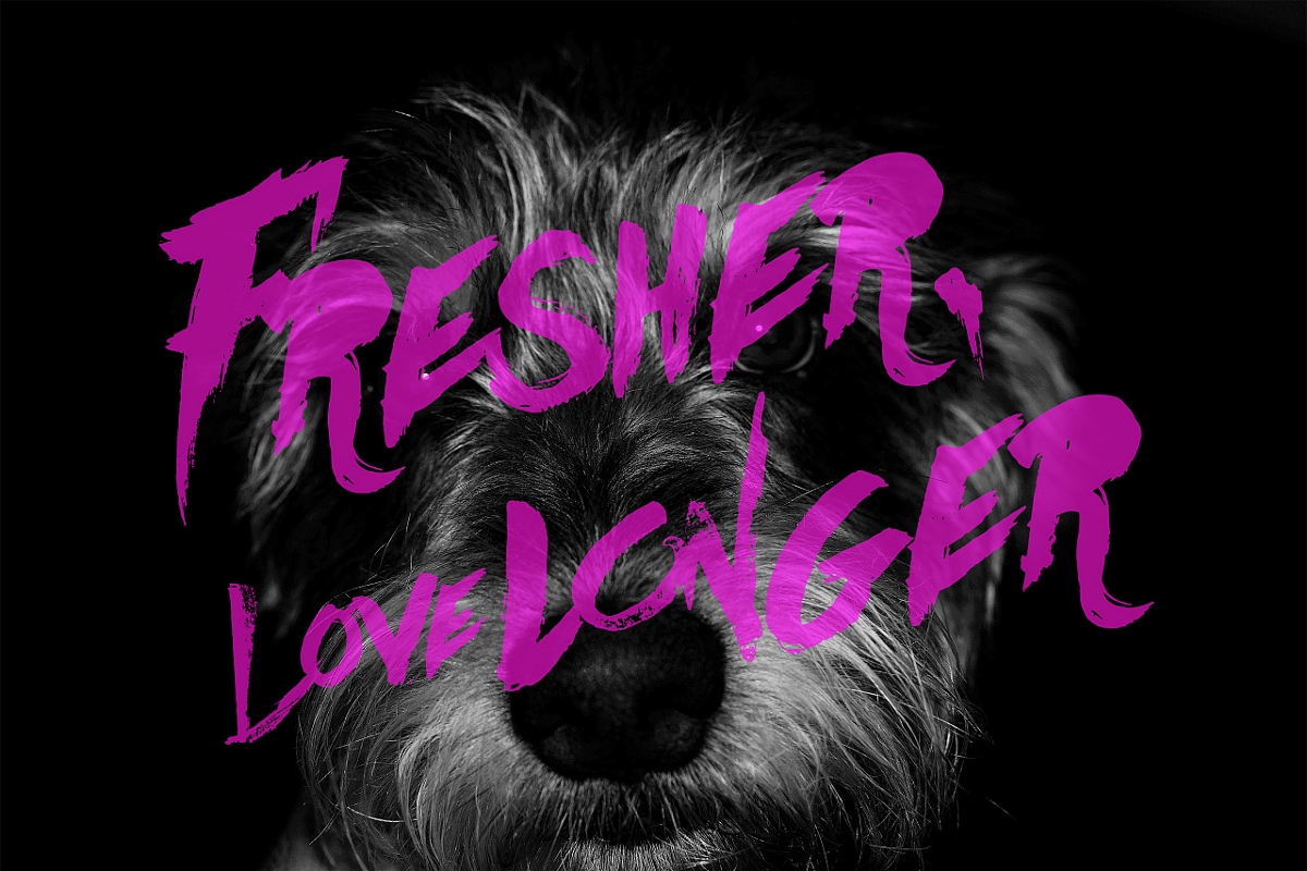  FRESHER.LOVE LONGER Ⅰ