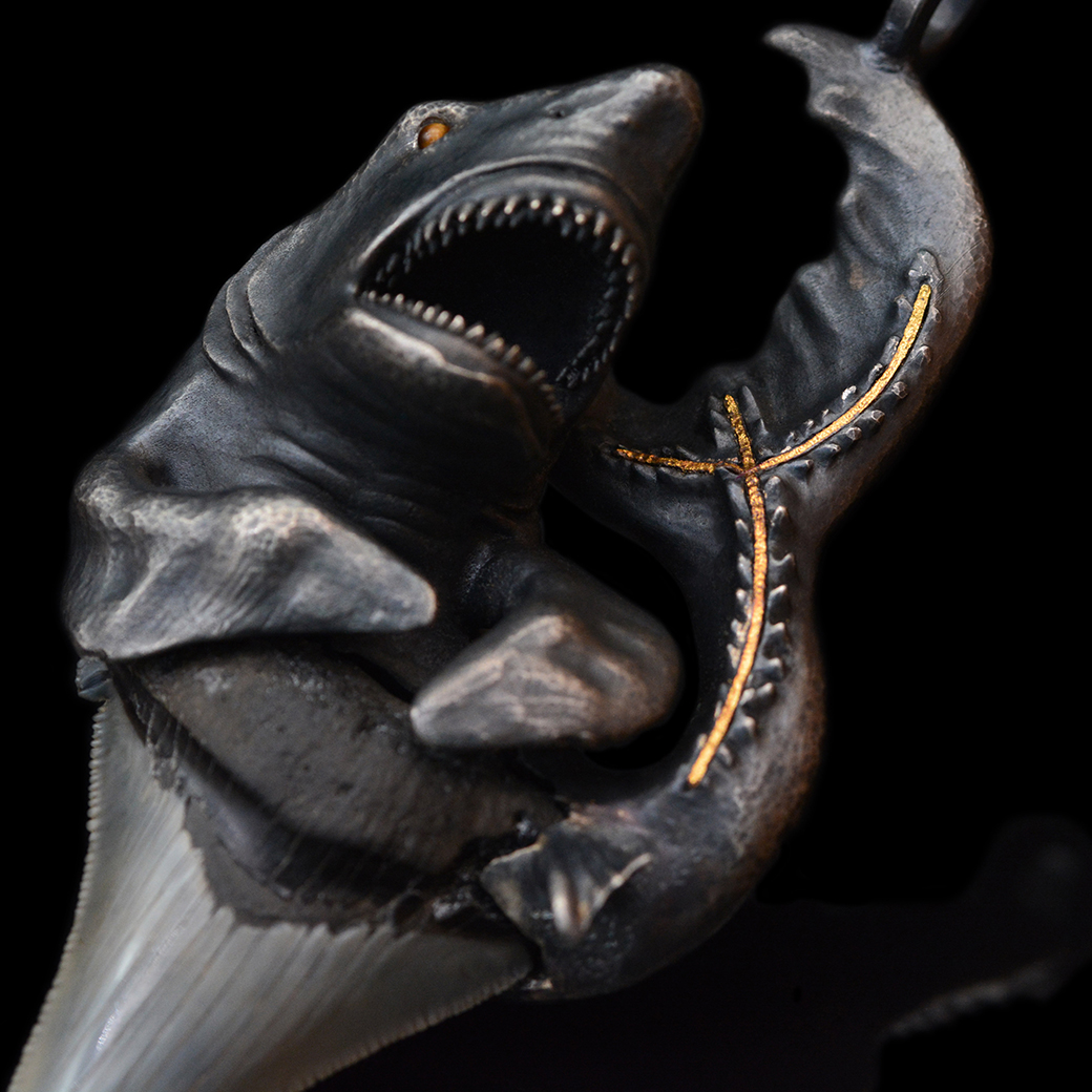 巨齿鲨像与化石