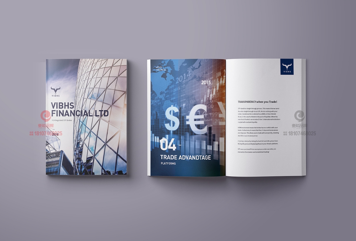 一希品牌设计--VIBHS国际金融画册设计