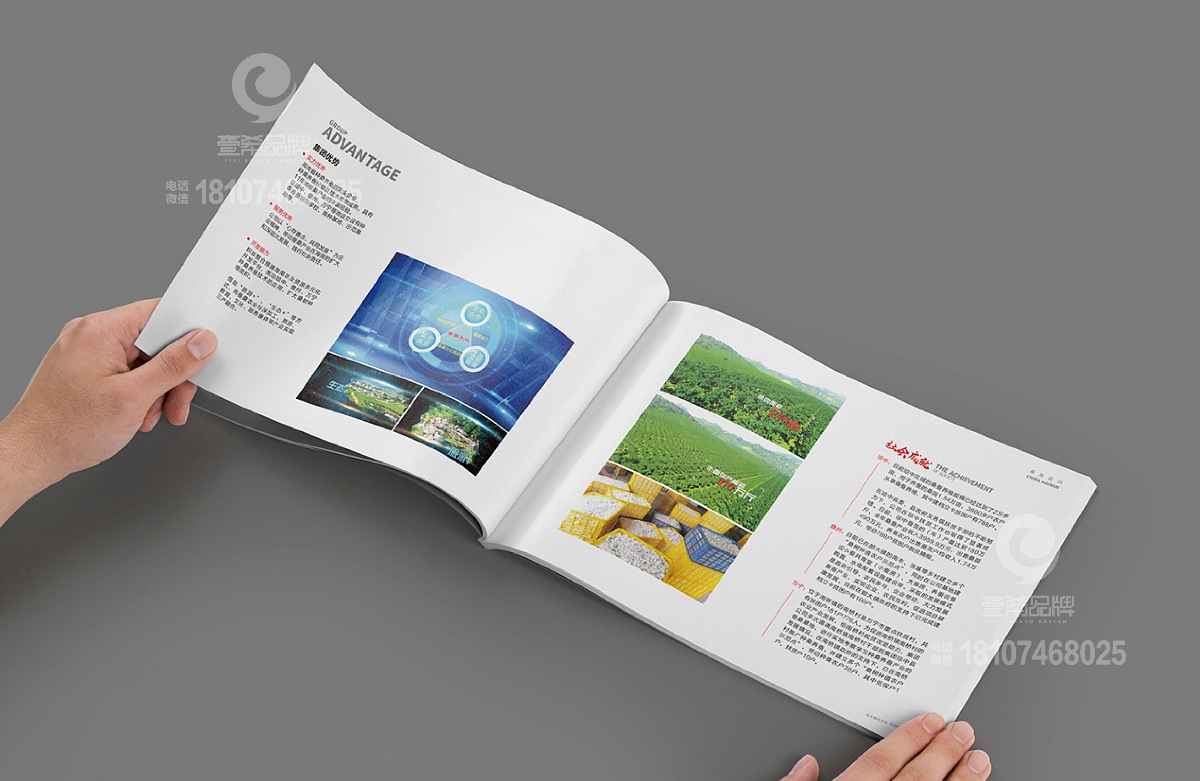 一希品牌设计--海南创科农业文旅投资集团画册宣