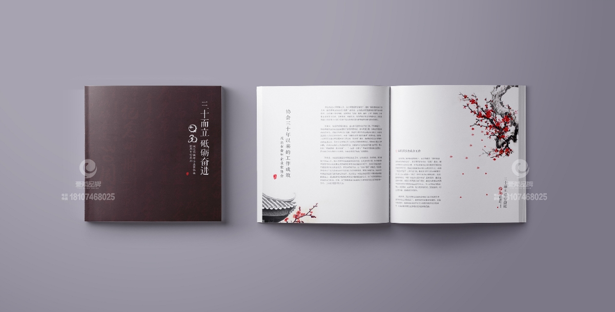 一希品牌设计--茂名市青年企业家协会画册宣传册设计