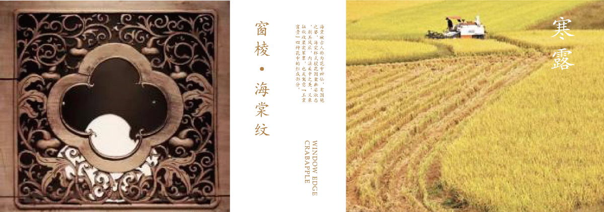 四季字體設(shè)計(jì)&二十四節(jié)氣字體設(shè)計(jì)