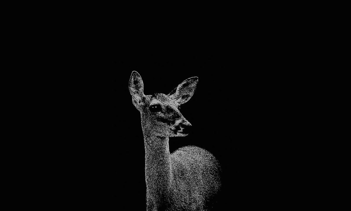 DarK DeeR 紅酒包裝設計