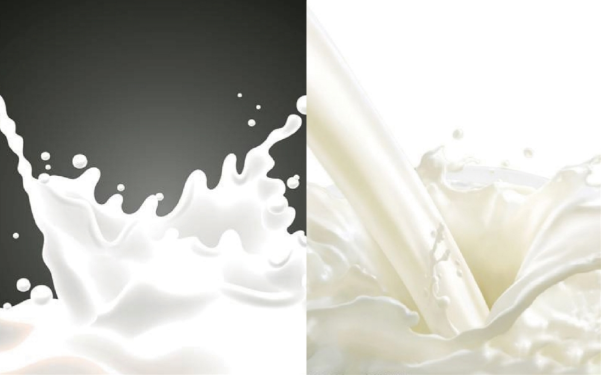 牛奶标识LOGO设计