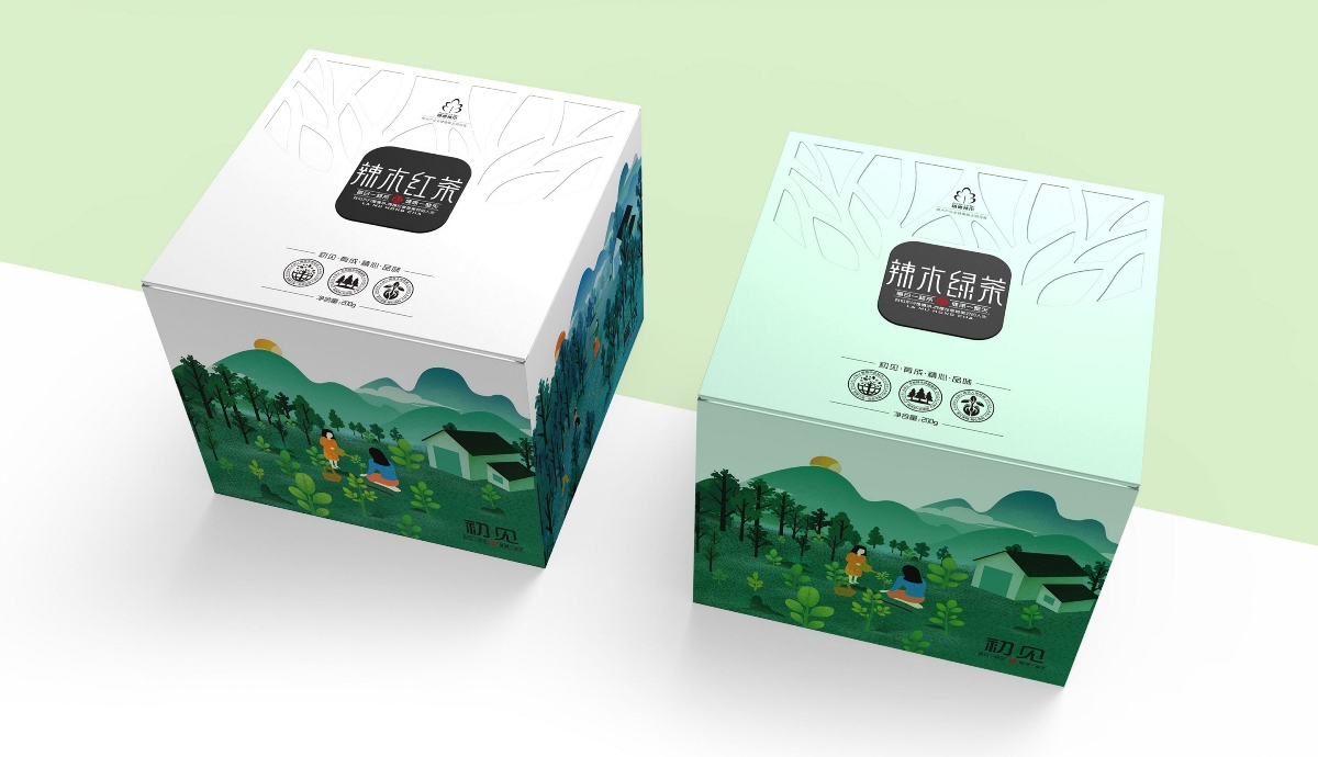 辣木花茶包装设计-深圳圣智扬包装设计案例