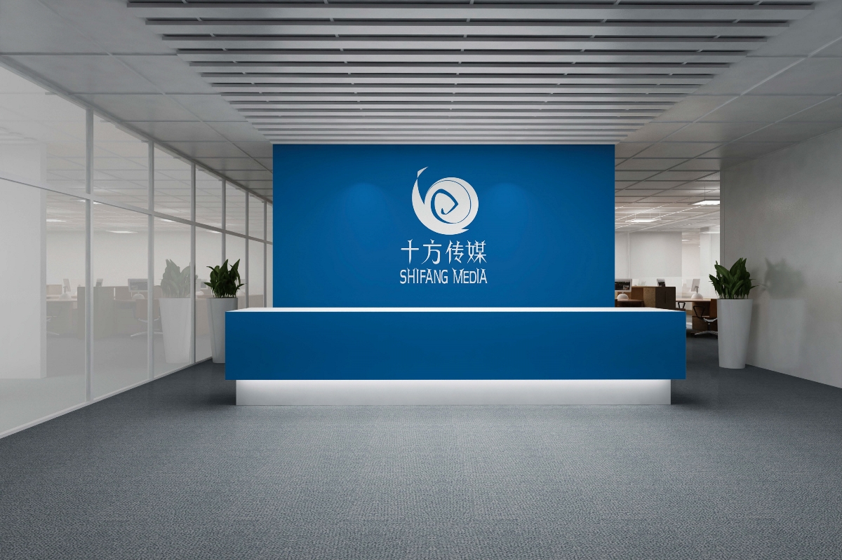 十方传媒 logo  vi设计