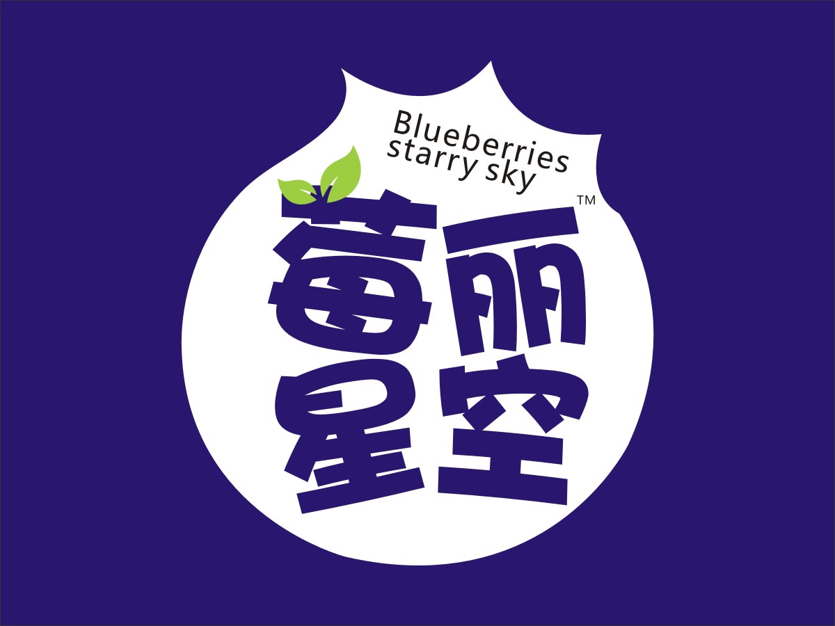 莓丽星空 · 蓝莓酵素果汁 酵素果汁饮品 | 产品包装设计 · 礼盒形象设计