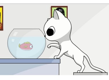 【短篇漫画】小堡趣事录之猫和鱼