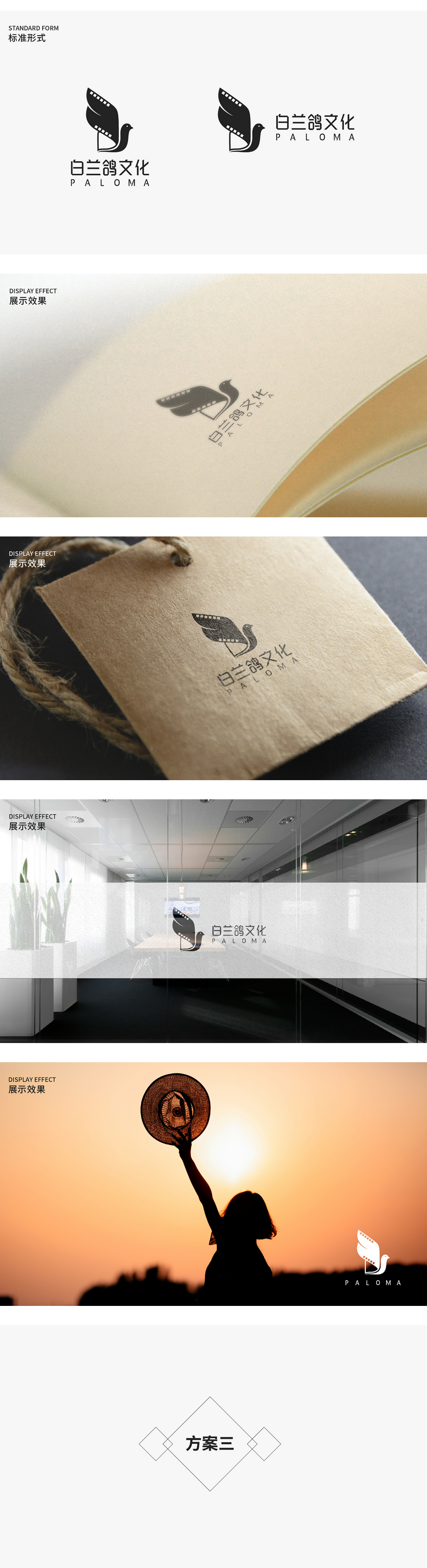 天得利项目案例 | 白兰鸽文化品牌logo设计