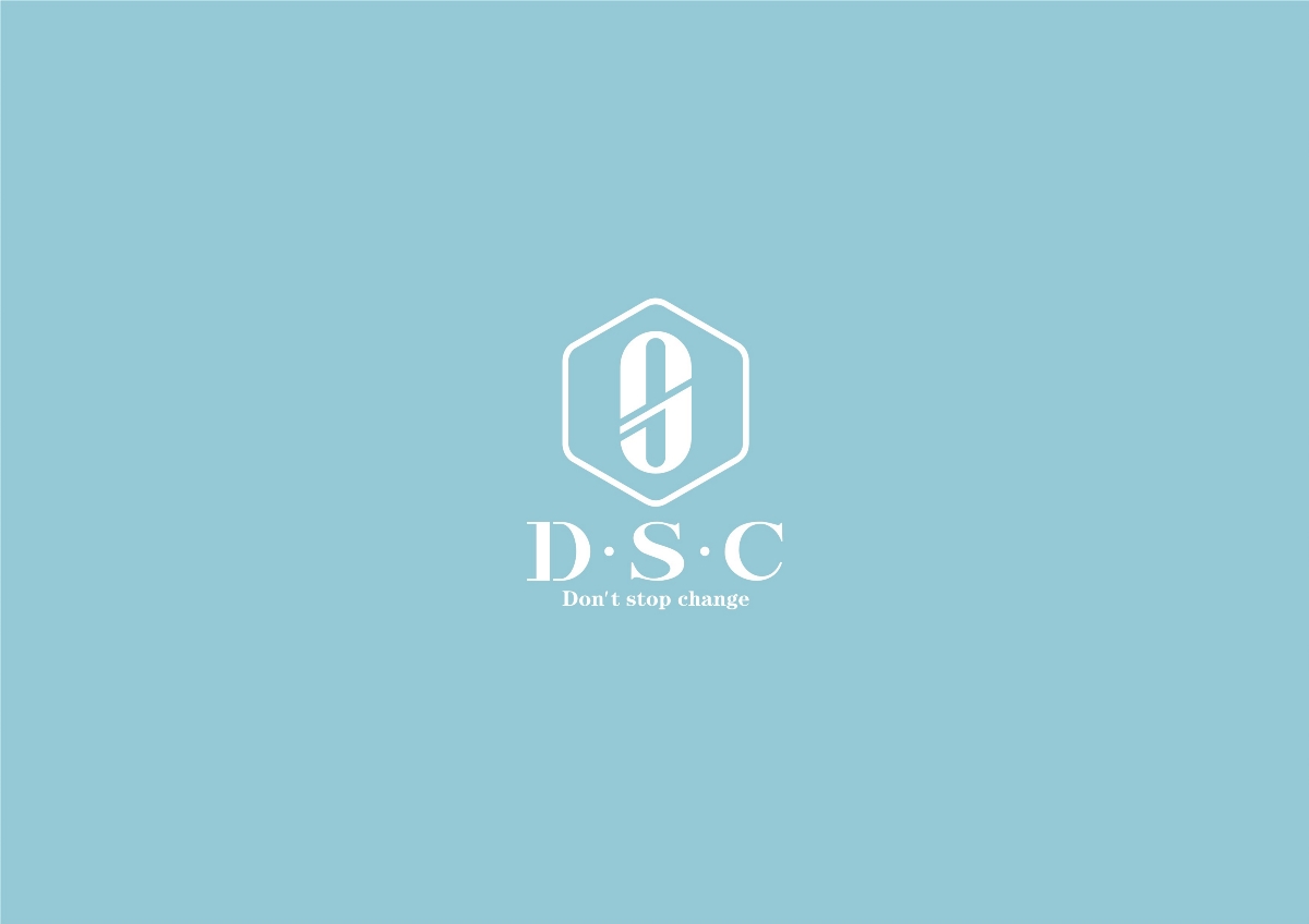 DSC女性定制品牌VI设计