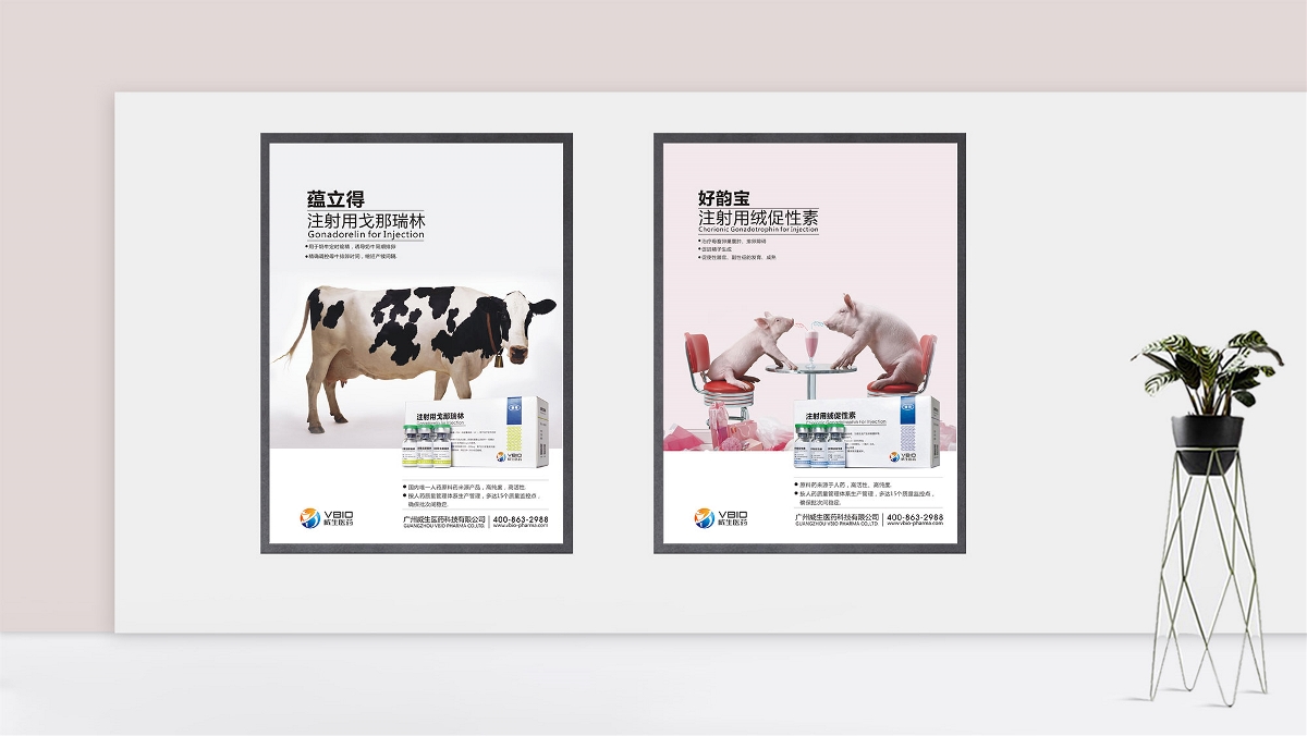 广州威生医药有限公司品牌包装策划设计-山东太歌文化创意