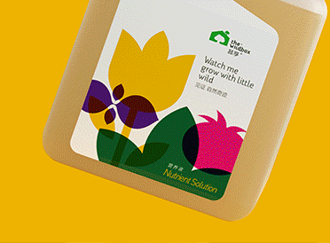 蔬享+城市家庭種植包裝設計 X 張曉寧