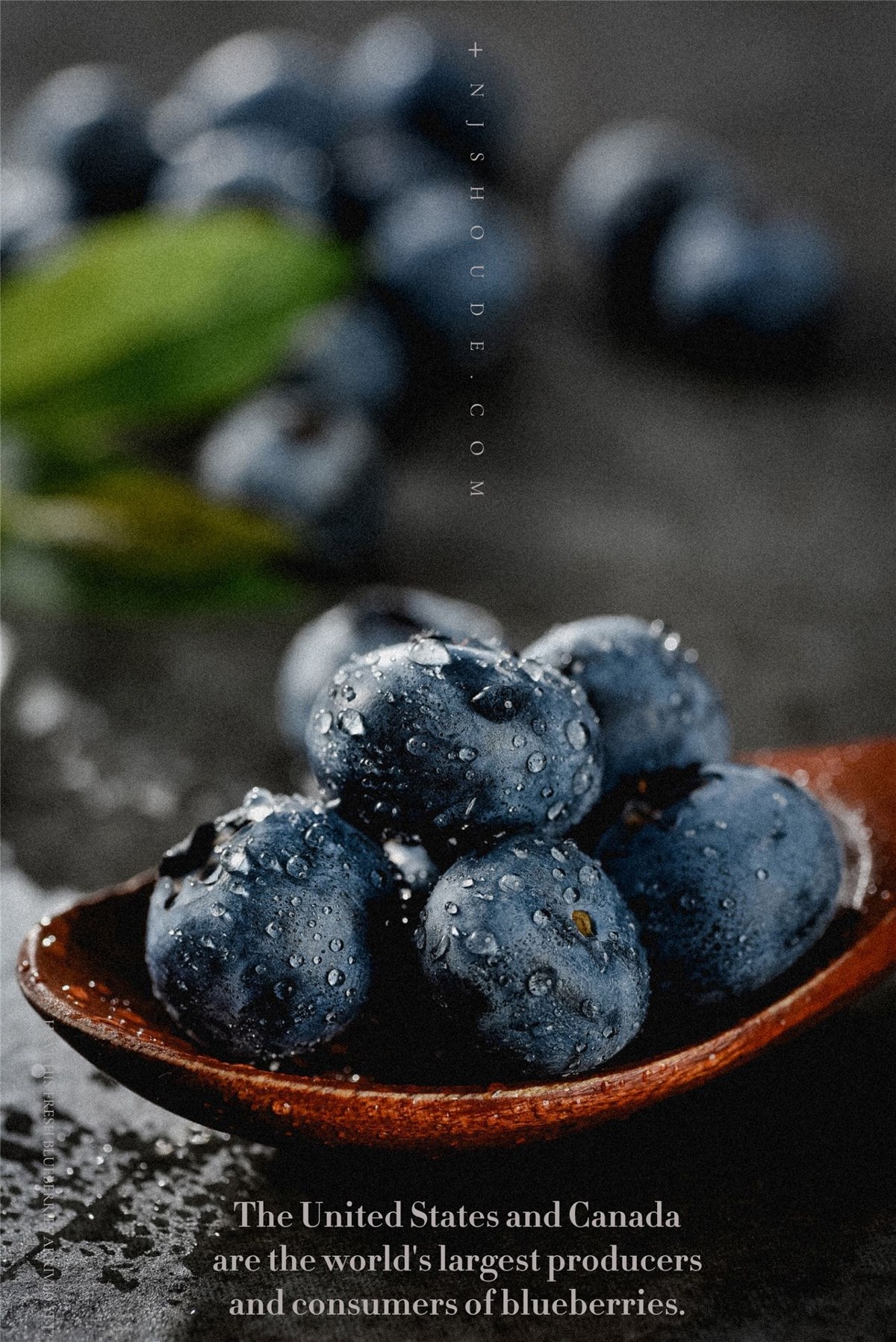 淘宝生鲜拍摄--蓝莓