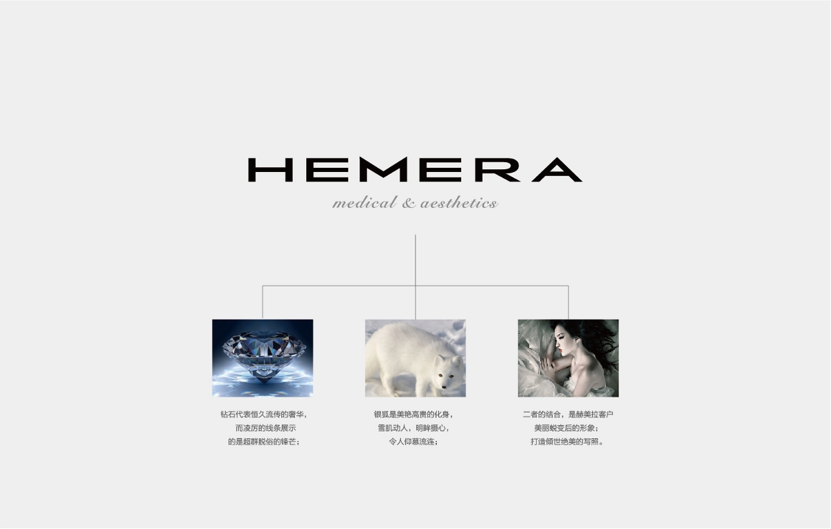 Hemera美容機構品牌設計