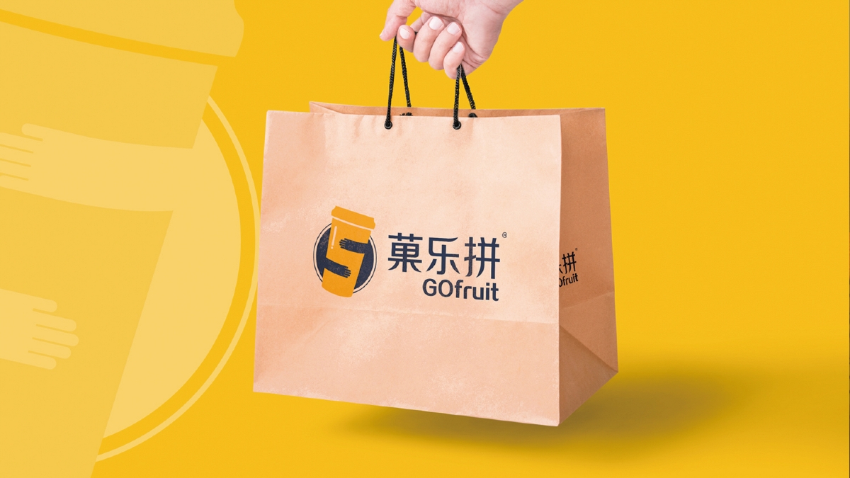 果樂拼VI基礎