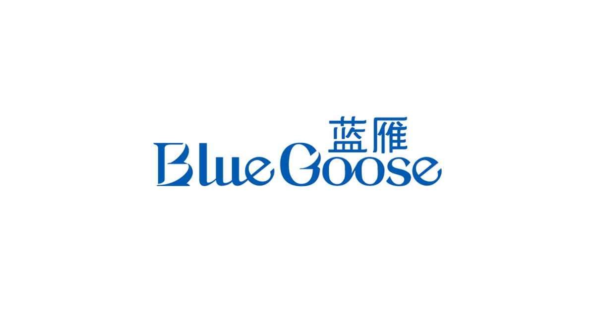 至力品牌包装设计—BlueGoose蓝雁 酒品牌VI与包装设计