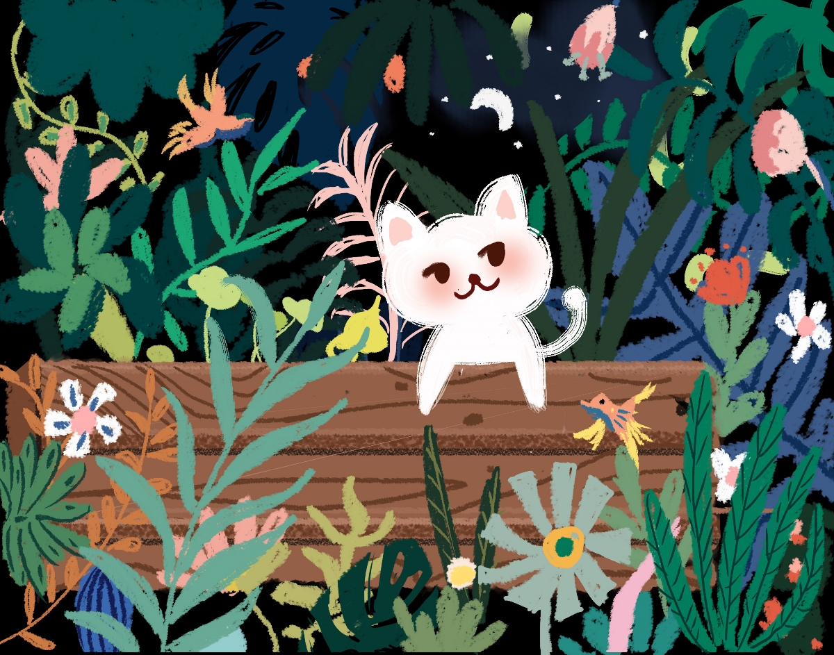 丛林中的猫