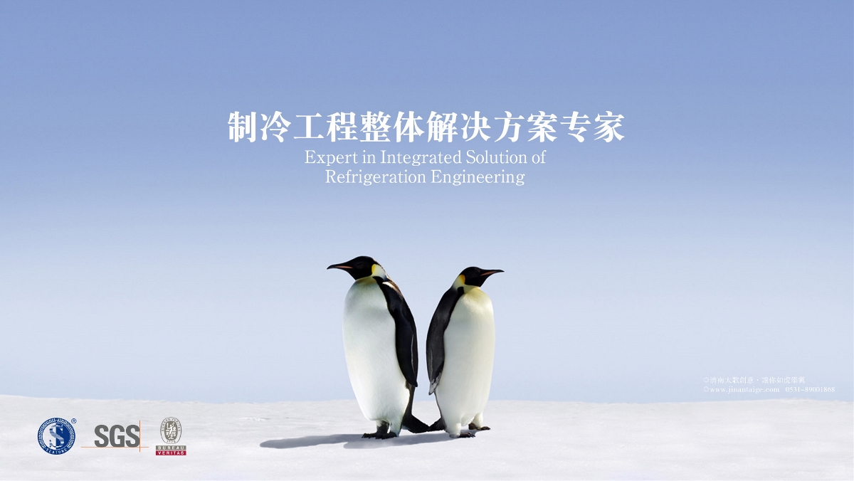 山東冰輪品牌VI策劃設計-太歌創意