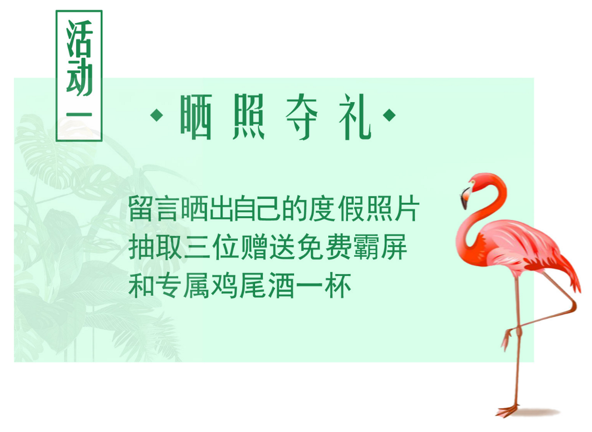 火烈鳥小清新段落框