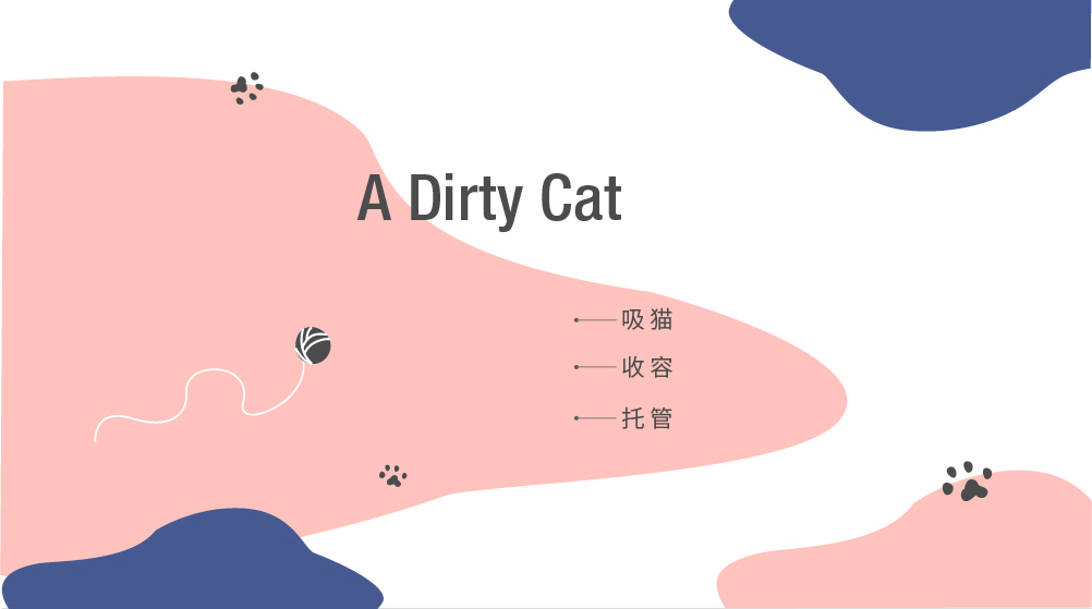 A dirty cat