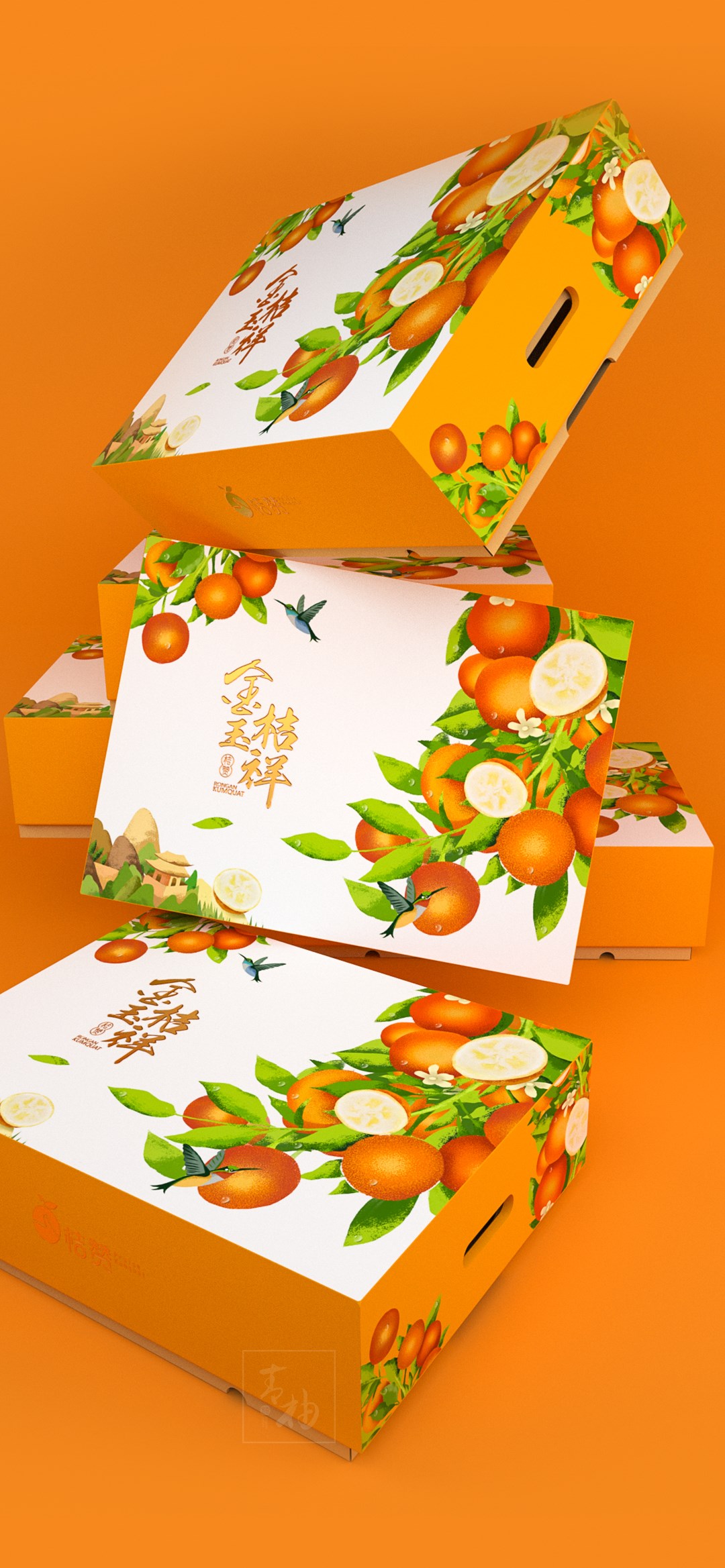 青柚设计 × 广西融安金桔 | 水果包装设计