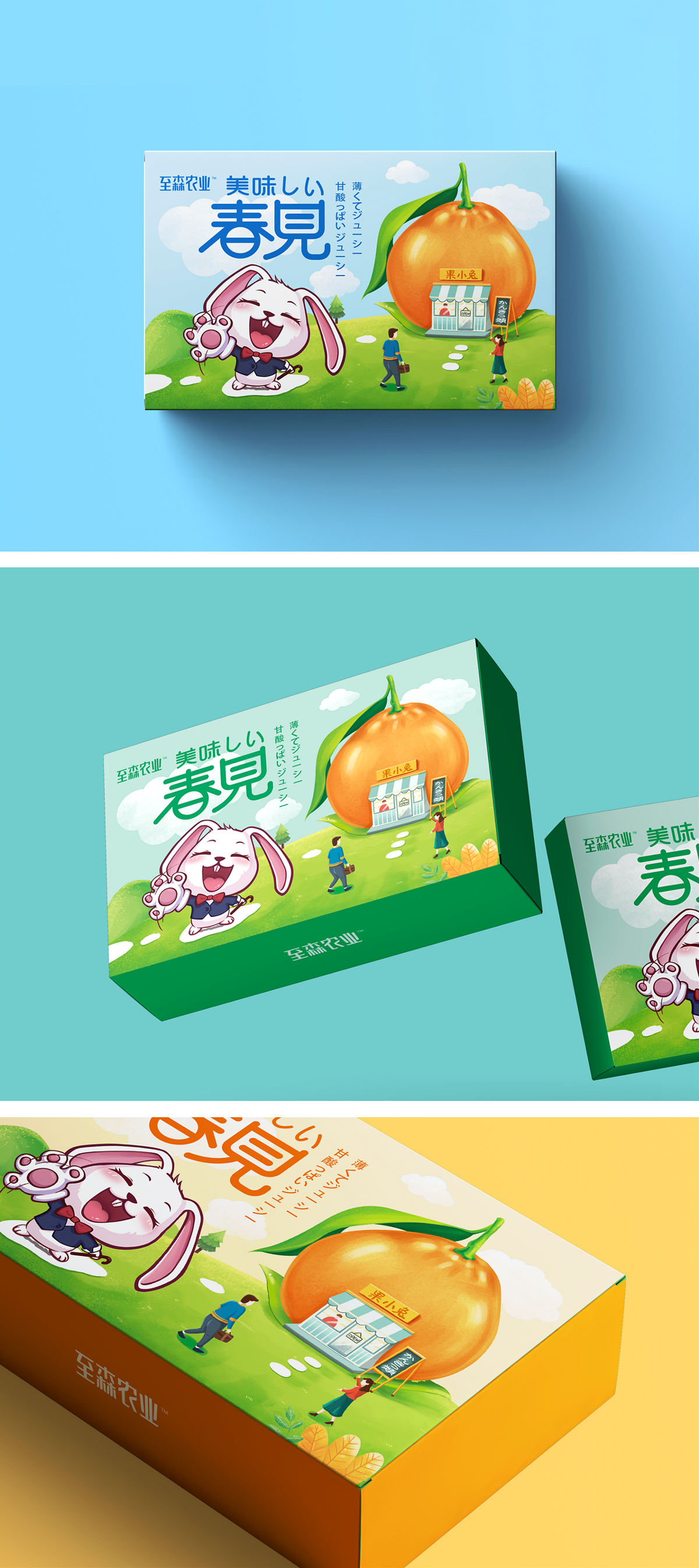 善行研創一至森農業春見柑橘插畫包裝設計