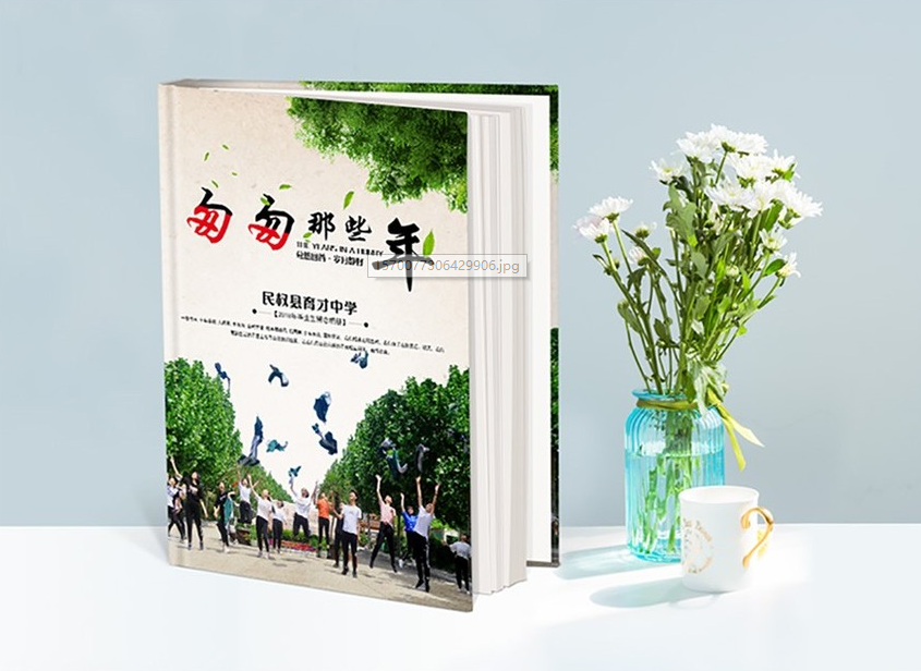 元素視界--簡約大氣的育才小學(xué)畫冊設(shè)計