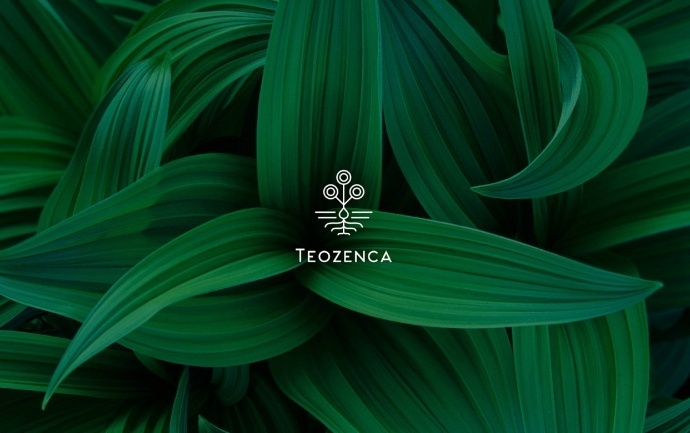 Teozenca品牌视觉形象设计