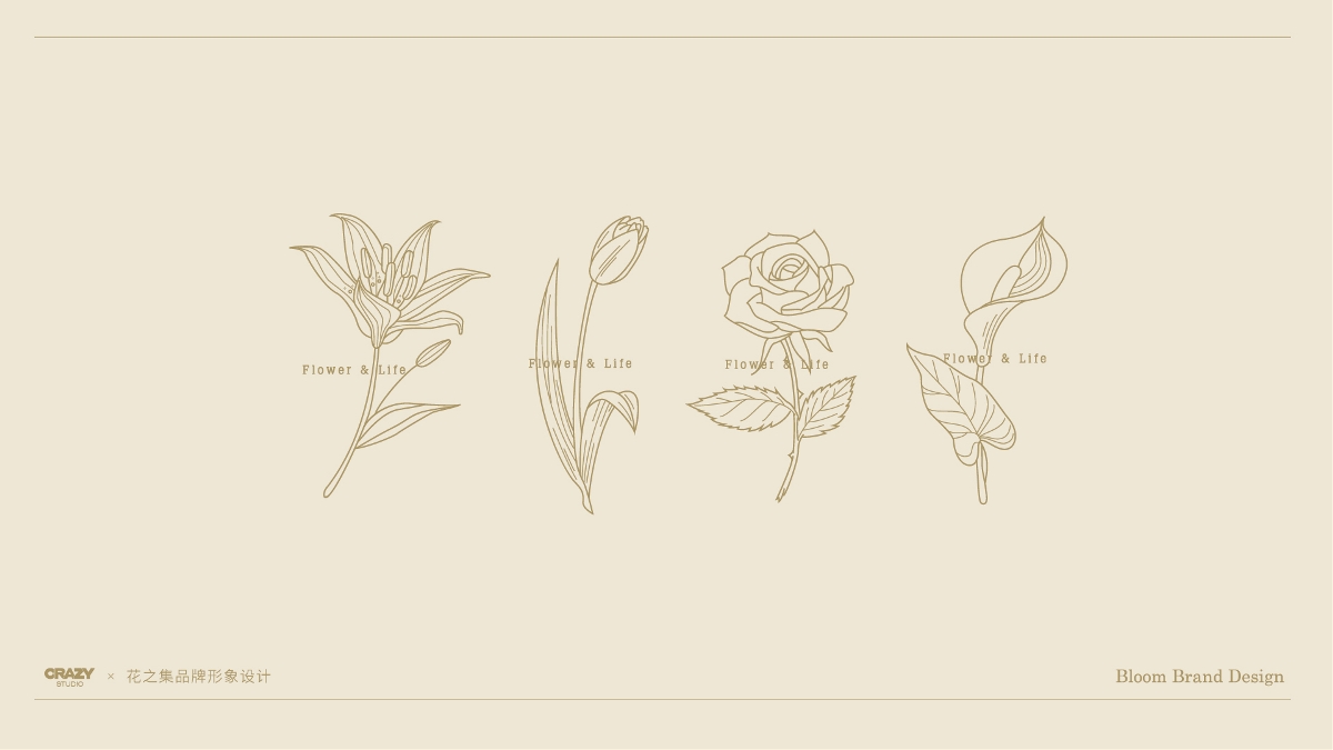 鲜花也可以像邮票那样收集了？ 应力设计 x 花之集品牌形象设计