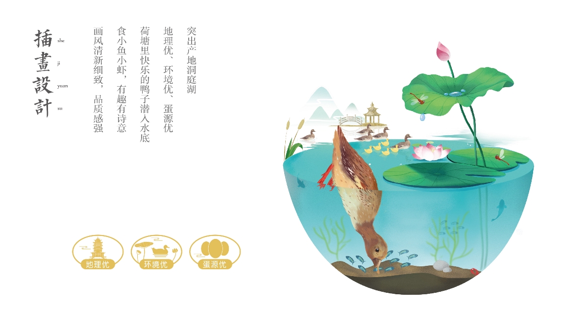 咸鸭蛋包装设计/神丹鸭蛋/洞庭湖鸭蛋/观复作品