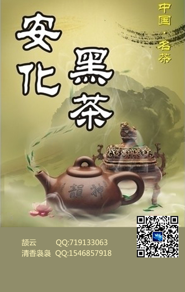 湖南安化黑茶