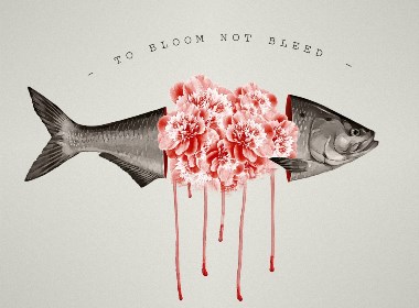 TO Bloom NOT Bleed