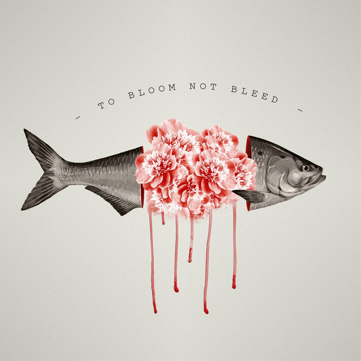 TO Bloom NOT Bleed