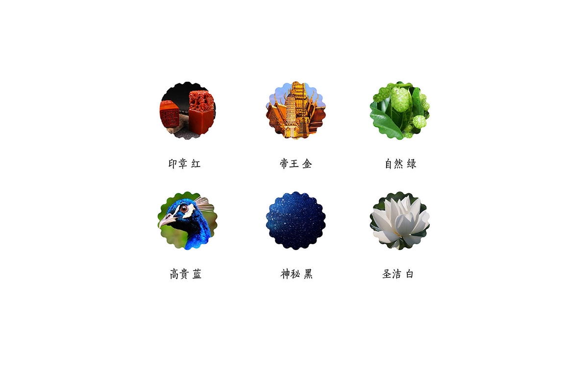 中国风 保健品牌设计 logo设计 VI设计 包装设计