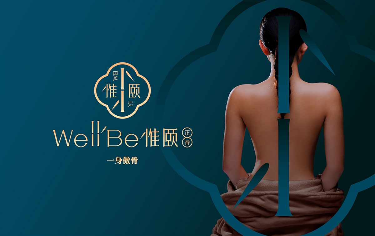 中国风 脊椎保健品牌 VI设计方案 2018