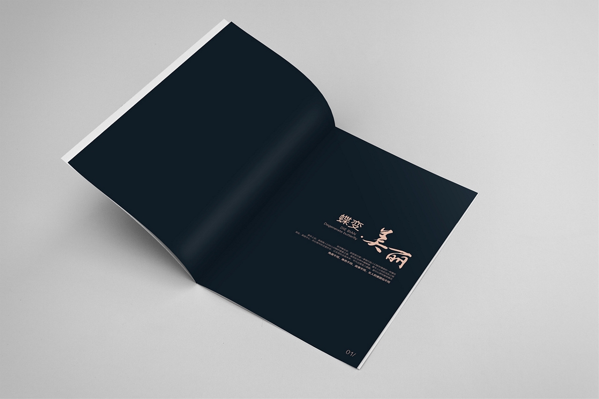 阿芙蓉醫(yī)療畫冊