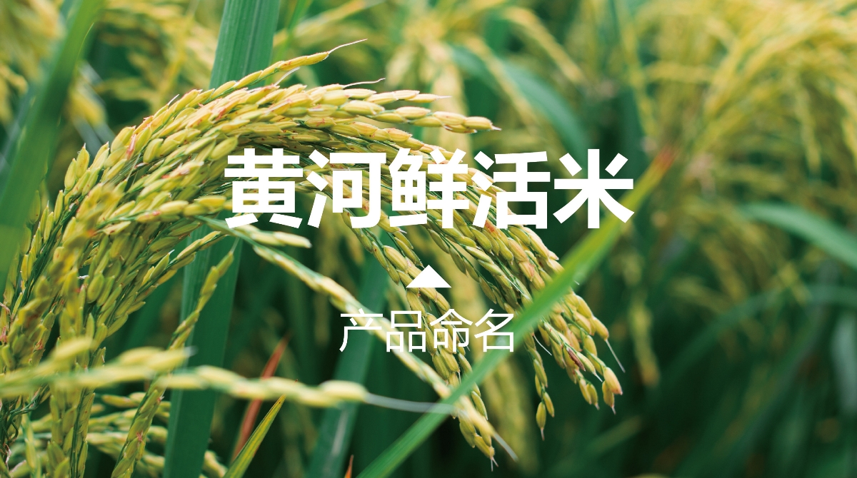 至覺(jué)案例丨彬山濤豐：大米品牌包裝設(shè)計(jì)