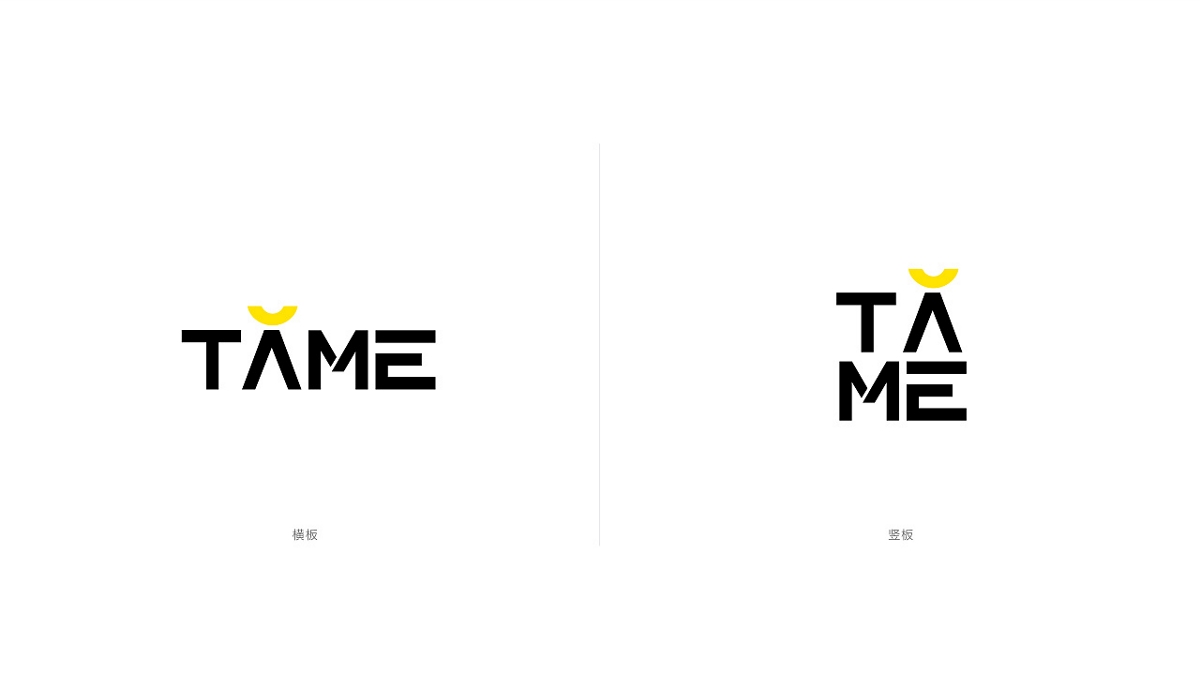 TAME-摄影品牌形象设计 