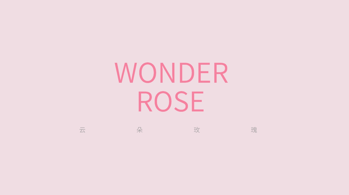 WONDER ROSE  云朵玫瑰玫瑰露包装设计