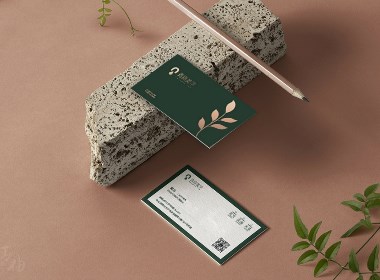 青柚原创 | 青岚美学品牌VI形象设计 字体logo设计