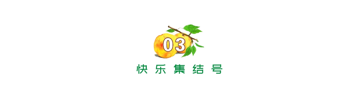 古一設計助力海倫司酒館 一組年輕時尚的青梅酒威士忌酒標設計包裝設計