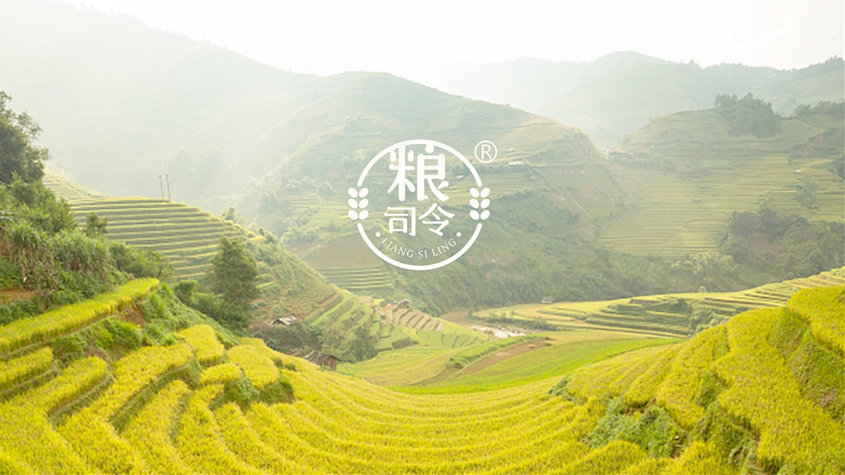 粮司令丨即食水果谷物麦片丨包装设计