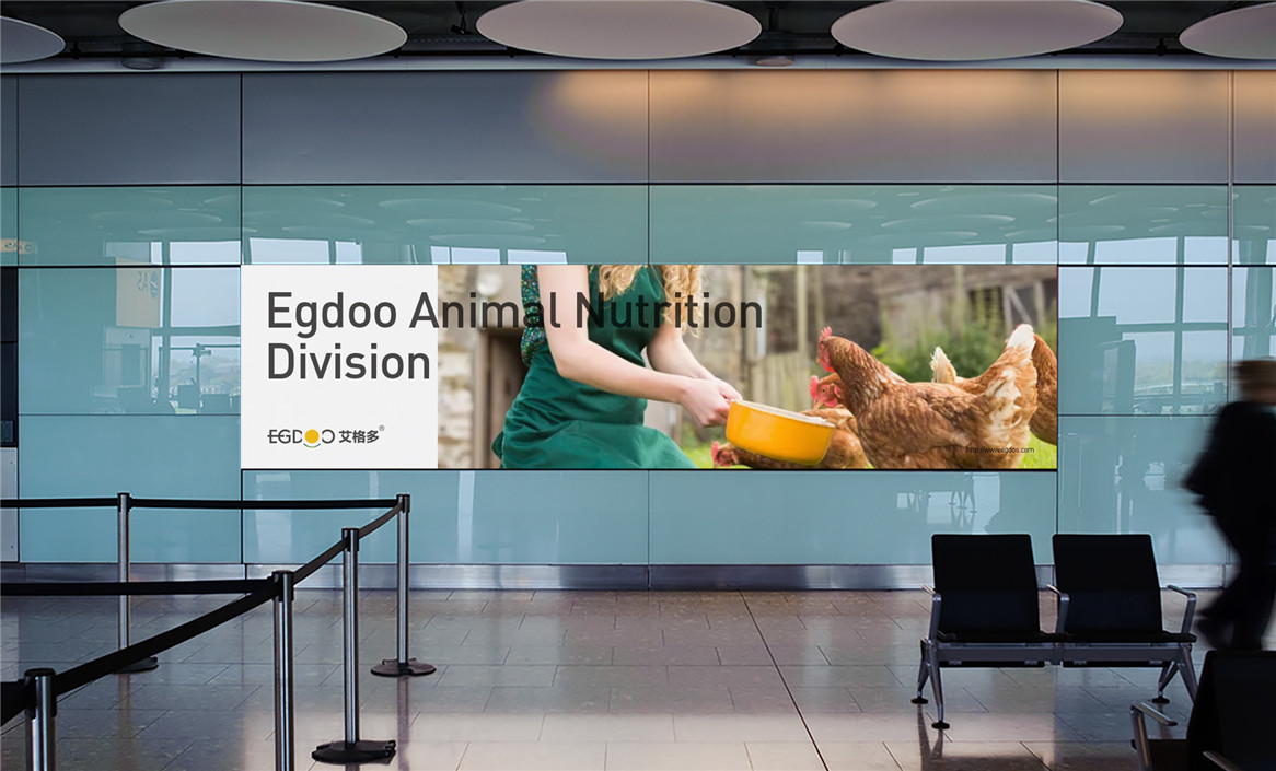 EGDOO艾格多 | 9年时间，从零到亿，快速成长为蛋鸡行业的价值标杆