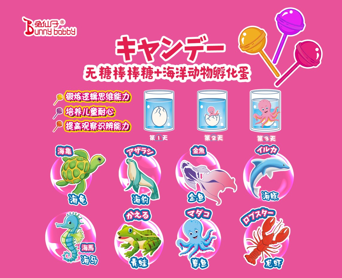 兔仙子 DIY 棒棒糖包装设计
