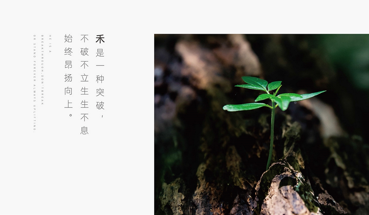 小小山 x 柏禾筑境_空间品牌设计_柏禾成景，匠心筑境