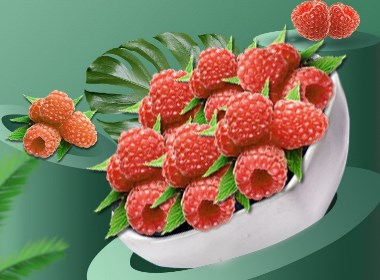 树莓