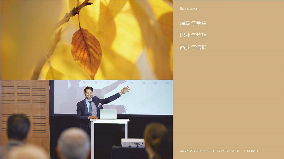 品牌設計-新大陸