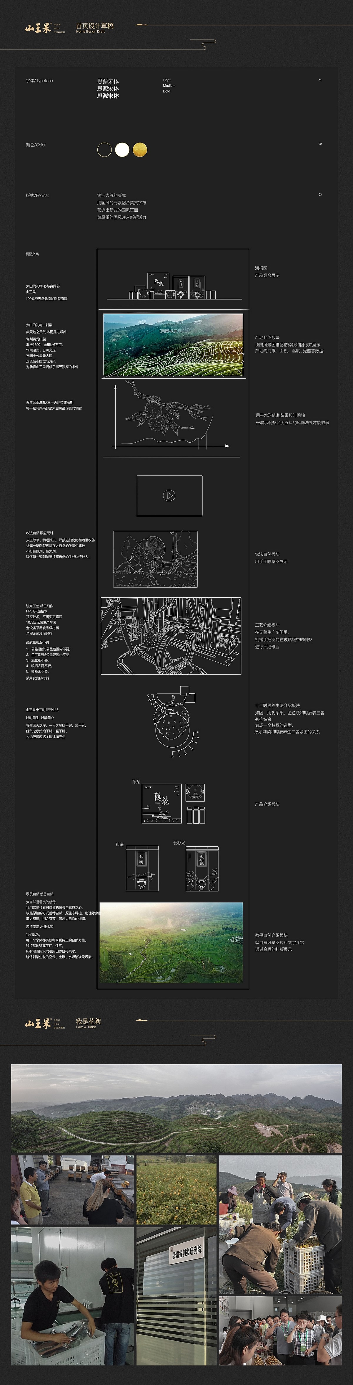 泰寶高端零食包裝設計【湯臣杰遜】